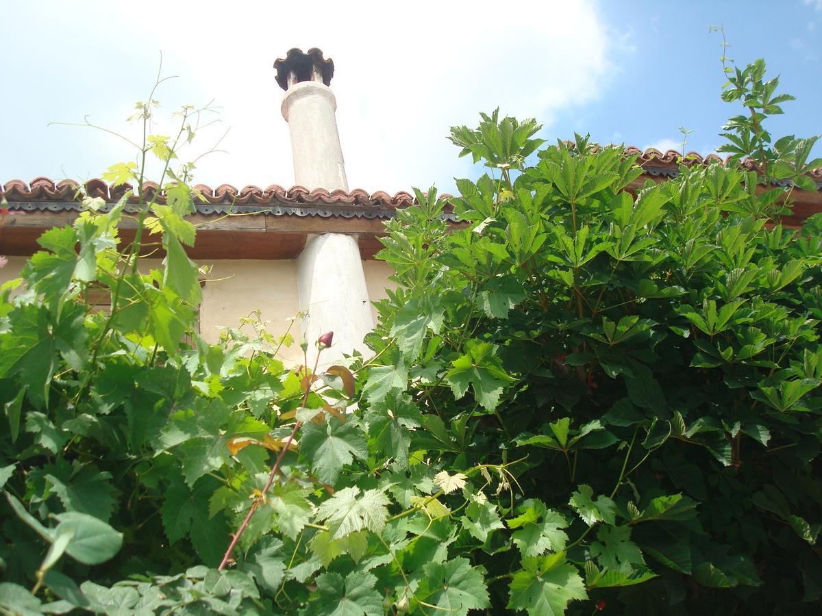 Oikia Alexandrou Traditional Inn Arnéa Kültér fotó