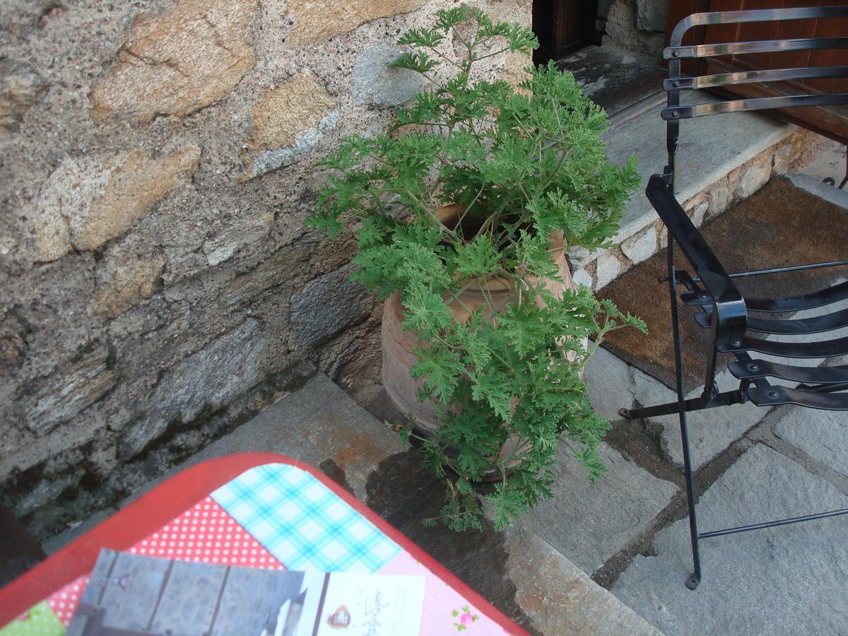 Oikia Alexandrou Traditional Inn Arnéa Kültér fotó